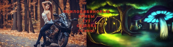 трава Кулебаки