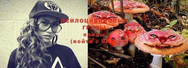 трава Кулебаки